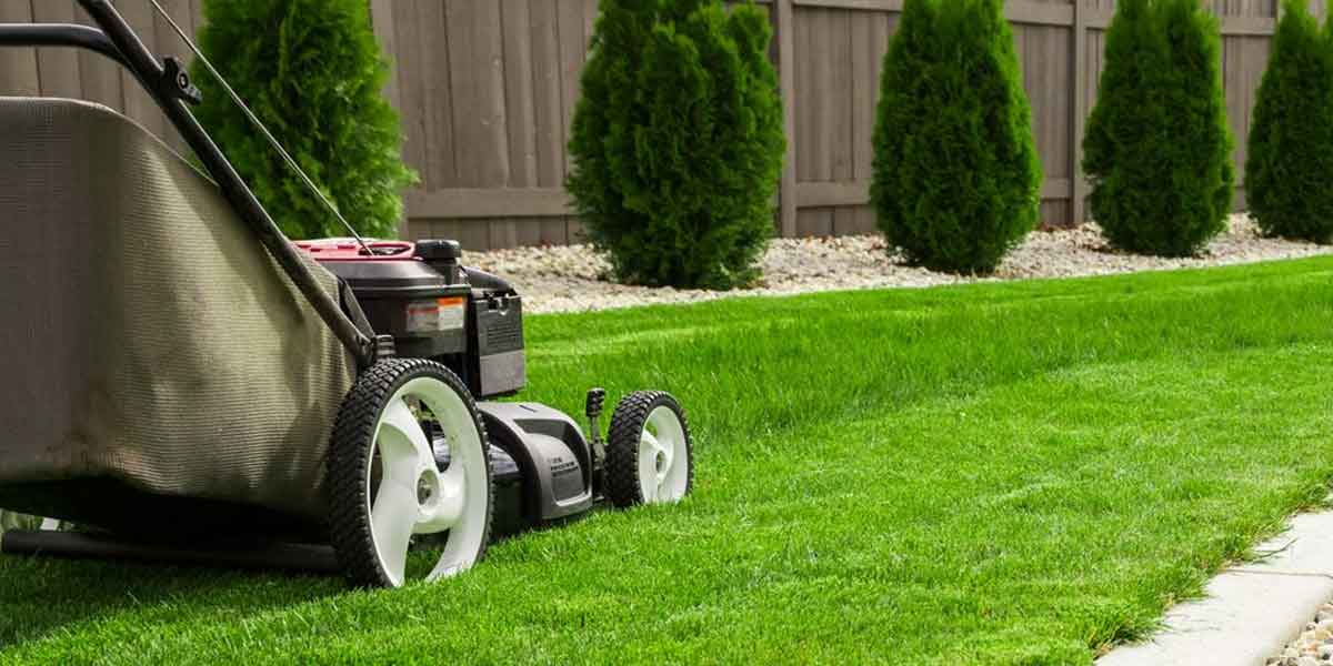 Lawn & garden maintenance